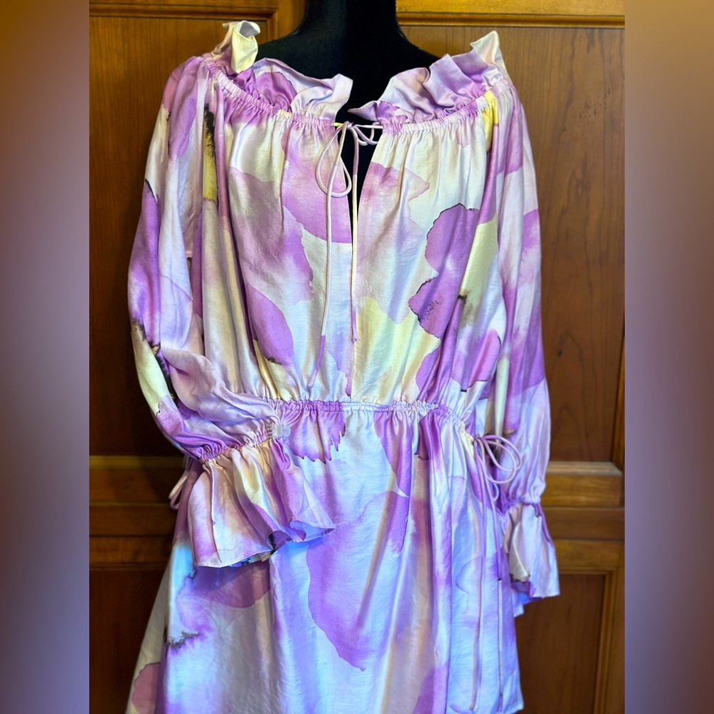 Ruffled mini dress-NWOT